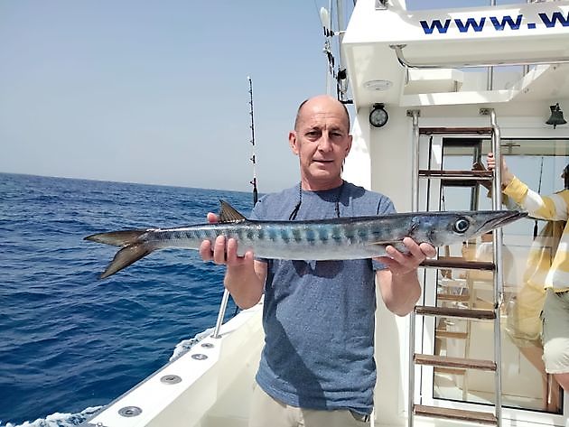 Fishing again. White Marlin Gran Canaria