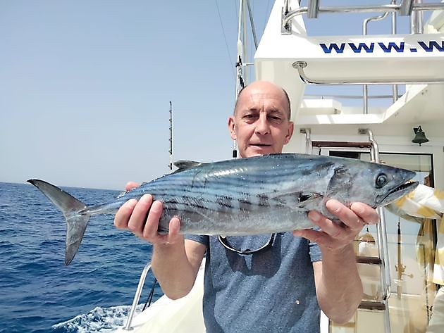 Dentones rosas. White Marlin Gran Canaria