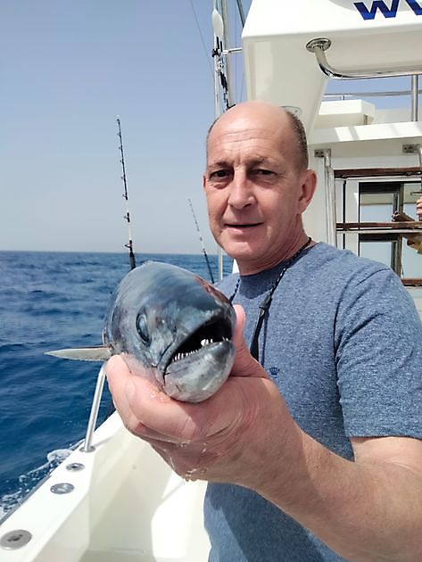 Gemeinsame Charta White Marlin Gran Canaria