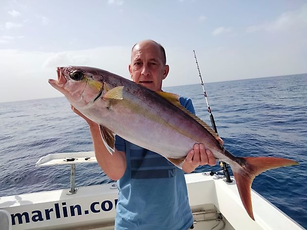 Rosa Dentons. White Marlin Gran Canaria