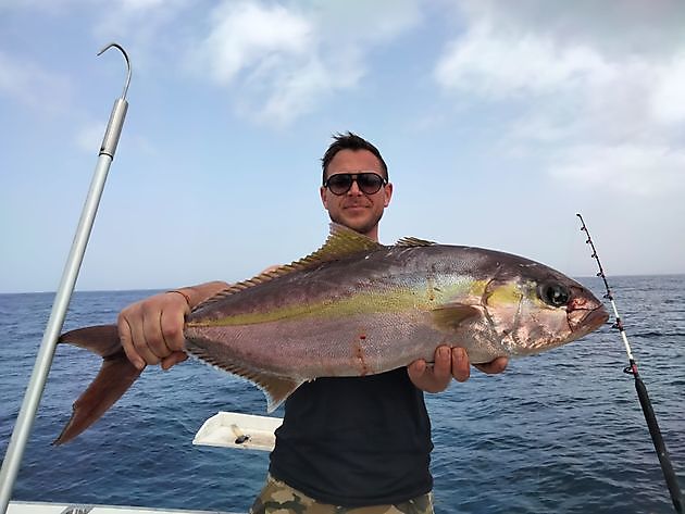 Pink Dentons. White Marlin Gran Canaria