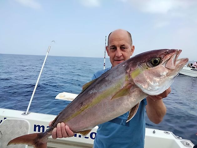 Amberjack. White Marlin Gran Canaria