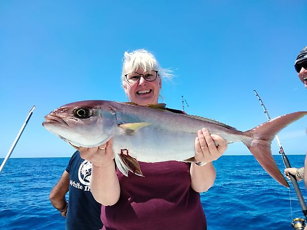 Tunaaa White Marlin Gran Canaria