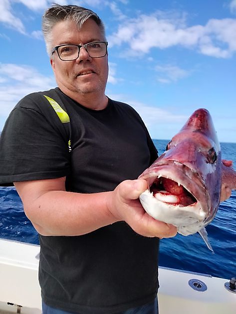 Thunfischfang. White Marlin Gran Canaria