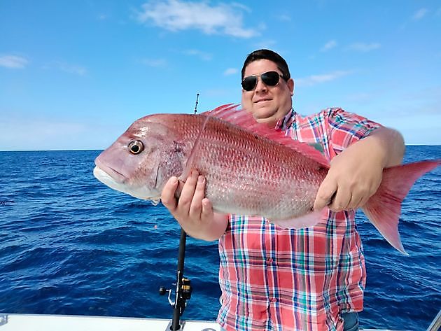 Thunfischfang. White Marlin Gran Canaria