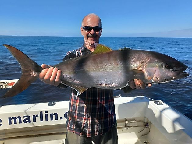 Bodem vissen. White Marlin Gran Canaria