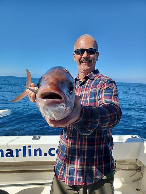 Bunnfiske. White Marlin Gran Canaria