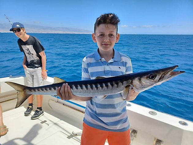 Blå Marlin White Marlin Gran Canaria