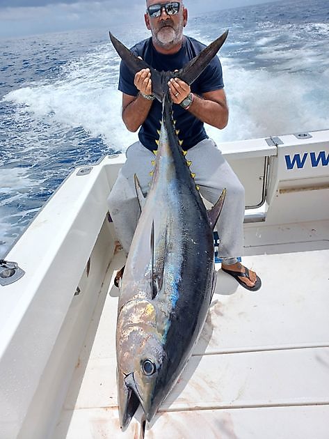 Bláđđimarlin White Marlin Gran Canaria