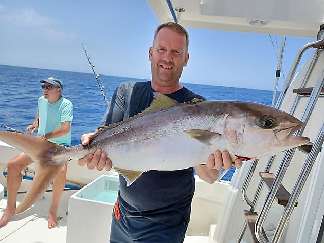 Blå Marlin White Marlin Gran Canaria