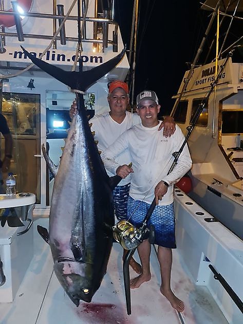 Storøyet tunfisk White Marlin Gran Canaria