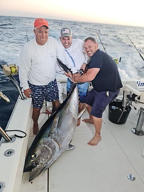 Storøyet tunfisk White Marlin Gran Canaria