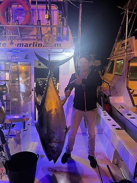 They still keep coming White Marlin Gran Canaria