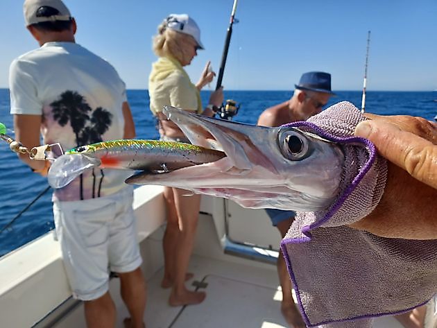 noticias de pesca White Marlin Gran Canaria