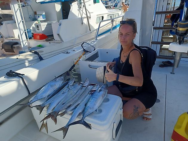 Fiske nyheter White Marlin Gran Canaria