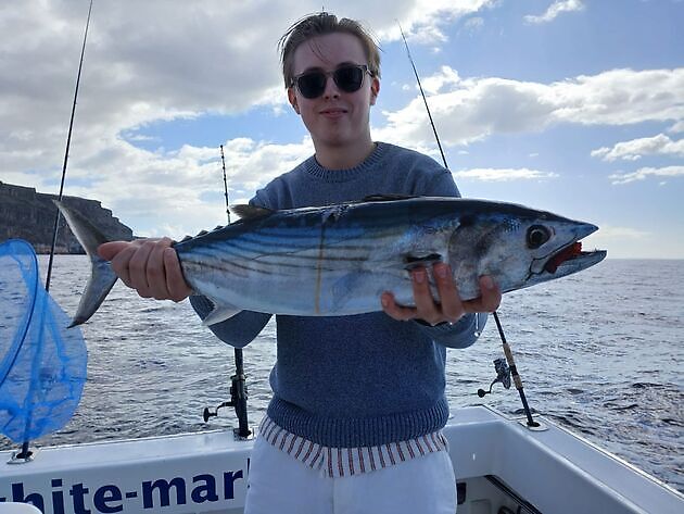 Red snapper - White Marlin Gran Canaria