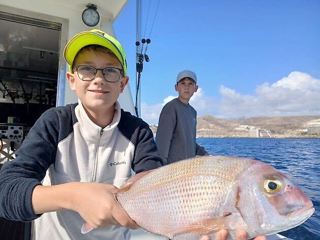 Rode Snapper Dag 🎣🎄🎣 - White Marlin Gran Canaria