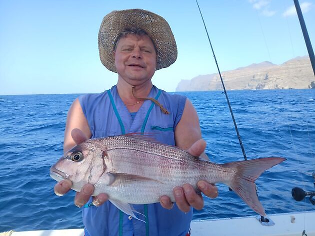 Amberjack,Red Snappers,Atlantic Tuna…. - White Marlin Gran Canaria