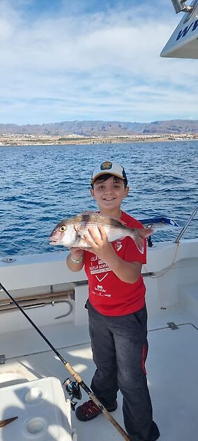 Morning - White Marlin Gran Canaria