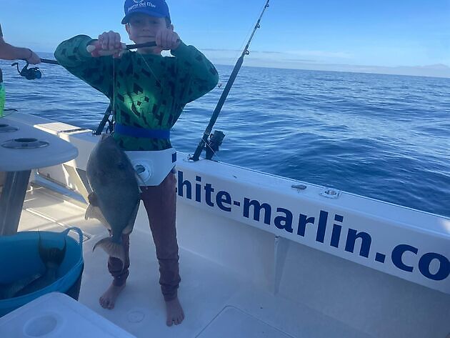 New challenges - White Marlin Gran Canaria