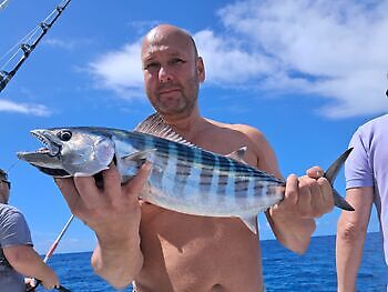 Marzo White Marlin Gran Canaria