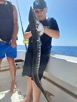 Mayo White Marlin Gran Canaria