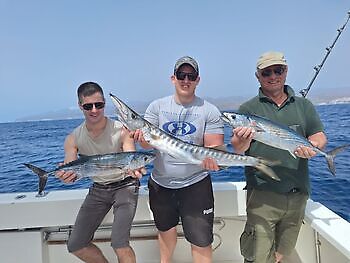 Abril White Marlin Gran Canaria