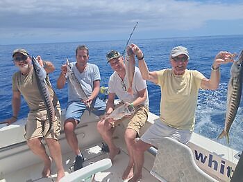 Juni White Marlin Gran Canaria