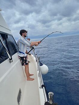 Julius White Marlin Gran Canaria