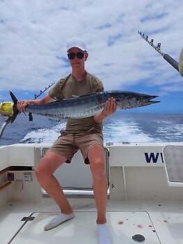 Julius White Marlin Gran Canaria