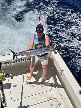 Julius White Marlin Gran Canaria