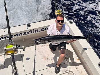 Julius White Marlin Gran Canaria