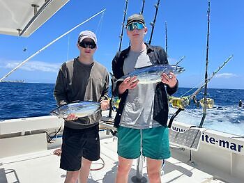 Julius White Marlin Gran Canaria