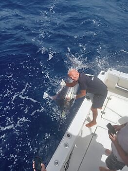 Julius White Marlin Gran Canaria