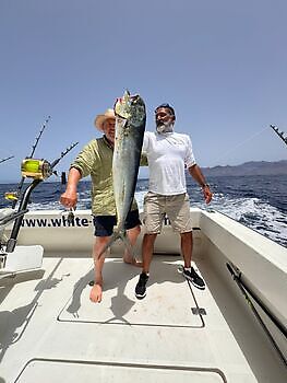 Augustus White Marlin Gran Canaria