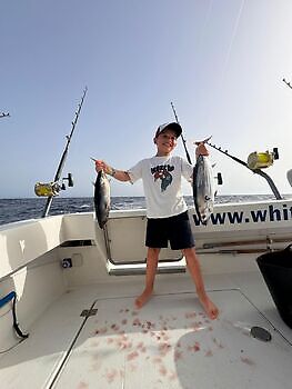 Augustus White Marlin Gran Canaria