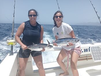 Augustus White Marlin Gran Canaria