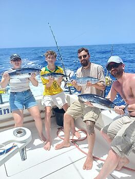 Augustus White Marlin Gran Canaria