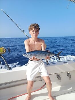 Augustus White Marlin Gran Canaria