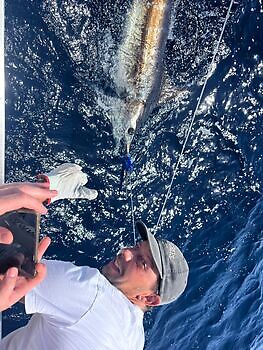 september White Marlin Gran Canaria