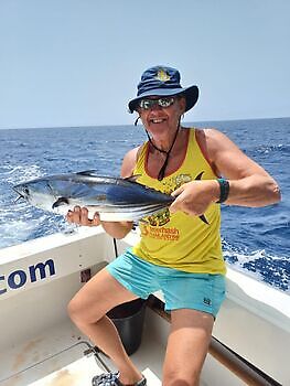 Augustus White Marlin Gran Canaria