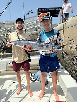 september White Marlin Gran Canaria