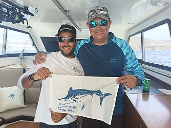 september White Marlin Gran Canaria