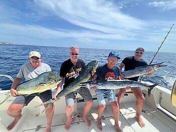 oktober White Marlin Gran Canaria