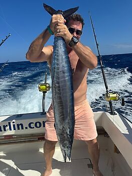 oktober White Marlin Gran Canaria