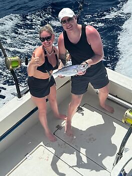 oktober White Marlin Gran Canaria