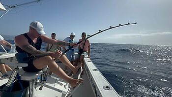 oktober White Marlin Gran Canaria