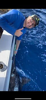 oktober White Marlin Gran Canaria