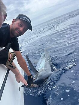 oktober White Marlin Gran Canaria