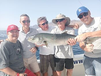 oktober White Marlin Gran Canaria